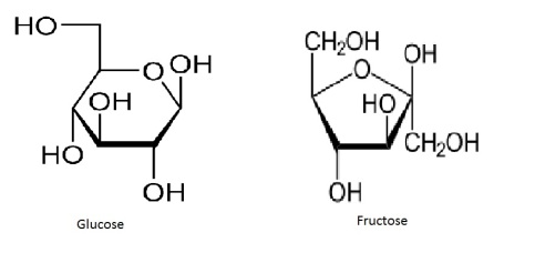 Glucose (left) and Fructose (Images from Wikimedia Commons)